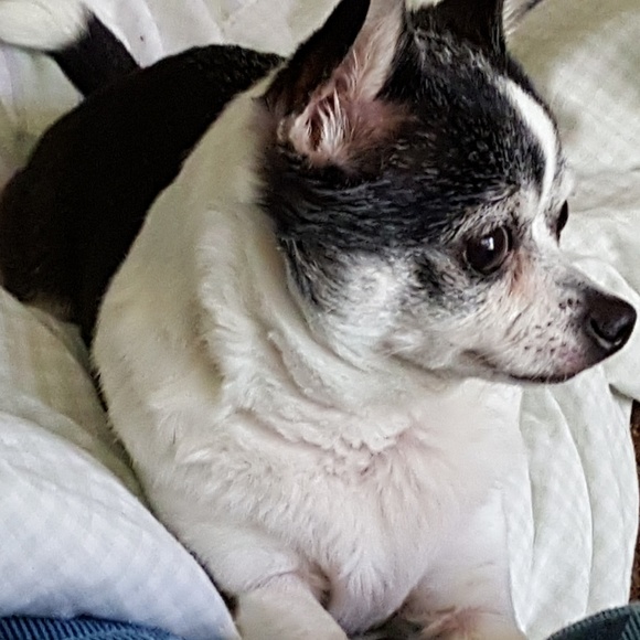 Meet your Posher, Mary - Picture 3 of 8